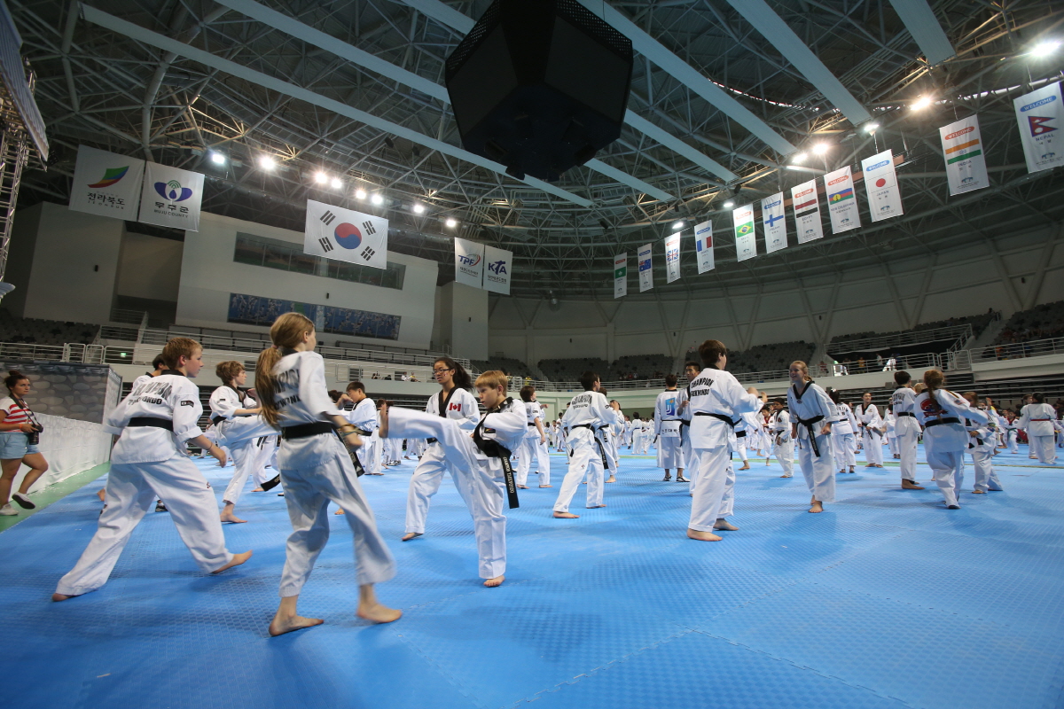 제8회 세계 태권도문화 엑스포 세미나 