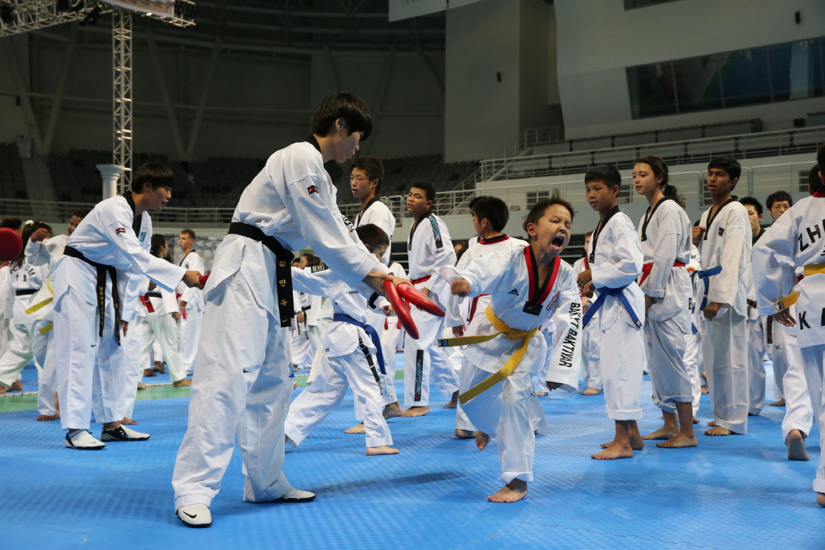 제8회 세계 태권도문화 엑스포 세미나 2