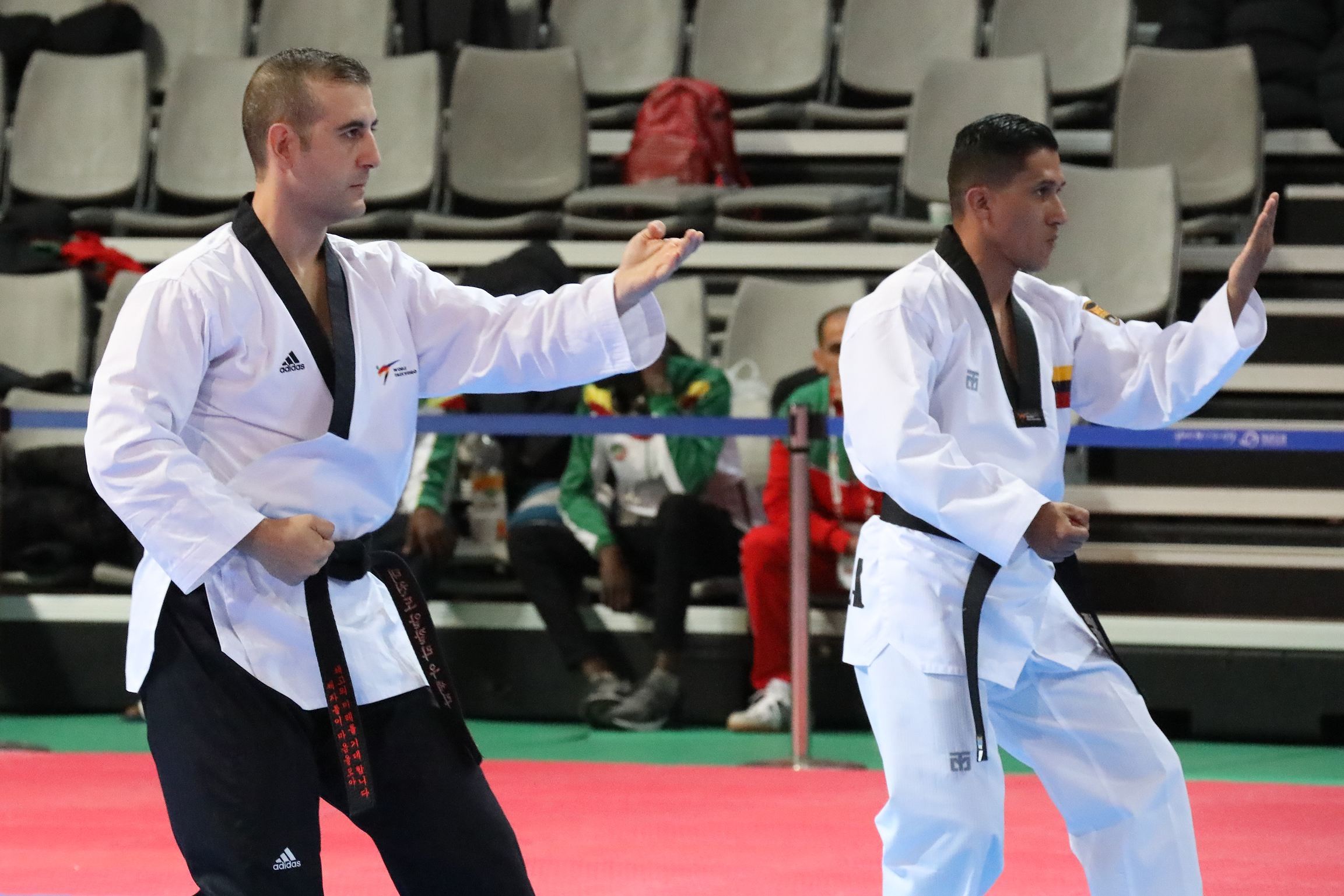 2019.11.13. 2019 대사배 태권도대회 세계결선