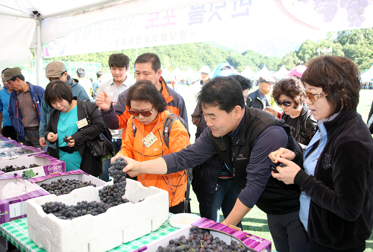 2012.10.03  반딧불포도와 함께 하는 제21회 설천면민의 날