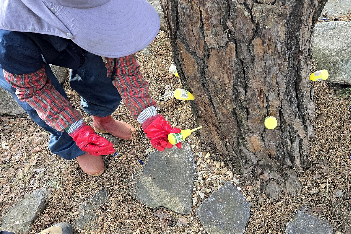 2025.03.26. 무주군 소나무재선충 방제 총력 예방나무 주사 주입