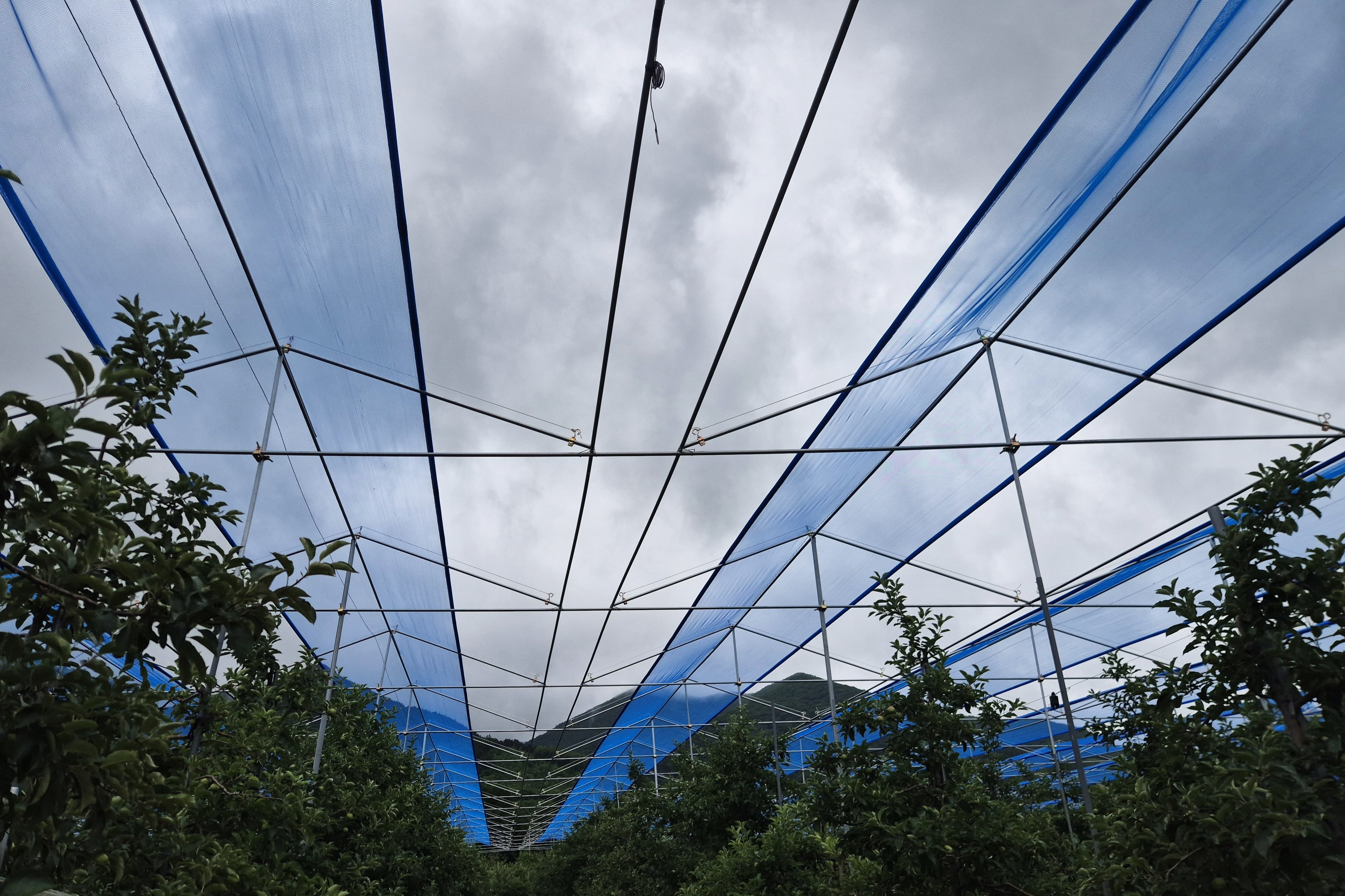 2025.06.20. 무주군 햇빛 차단망 보급 시범사업 