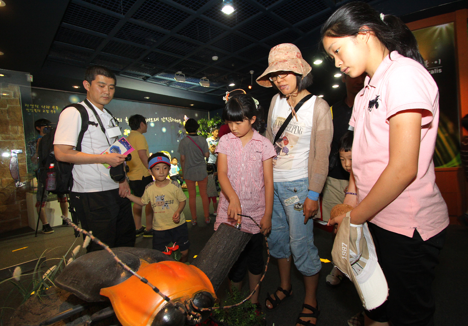 2012.06.09  제16회 무주반딧불축제-반디나라관