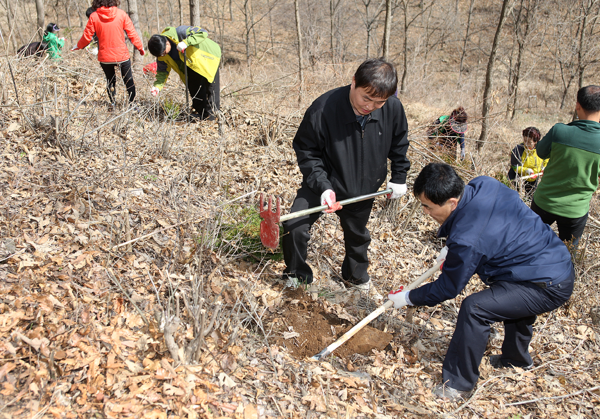 2013.04.05 제68회 식목일 나무심기 행사