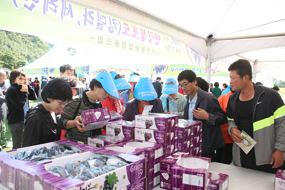 2012.10.03  반딧불포도와 함께 하는 제21회 설천면민의 날