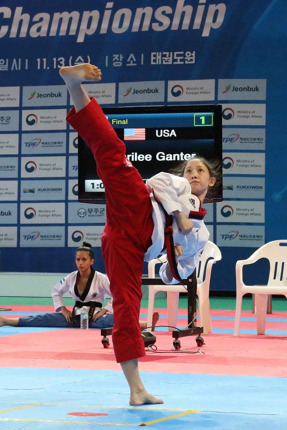 2019.11.13. 2019 대사배 태권도대회 세계결선