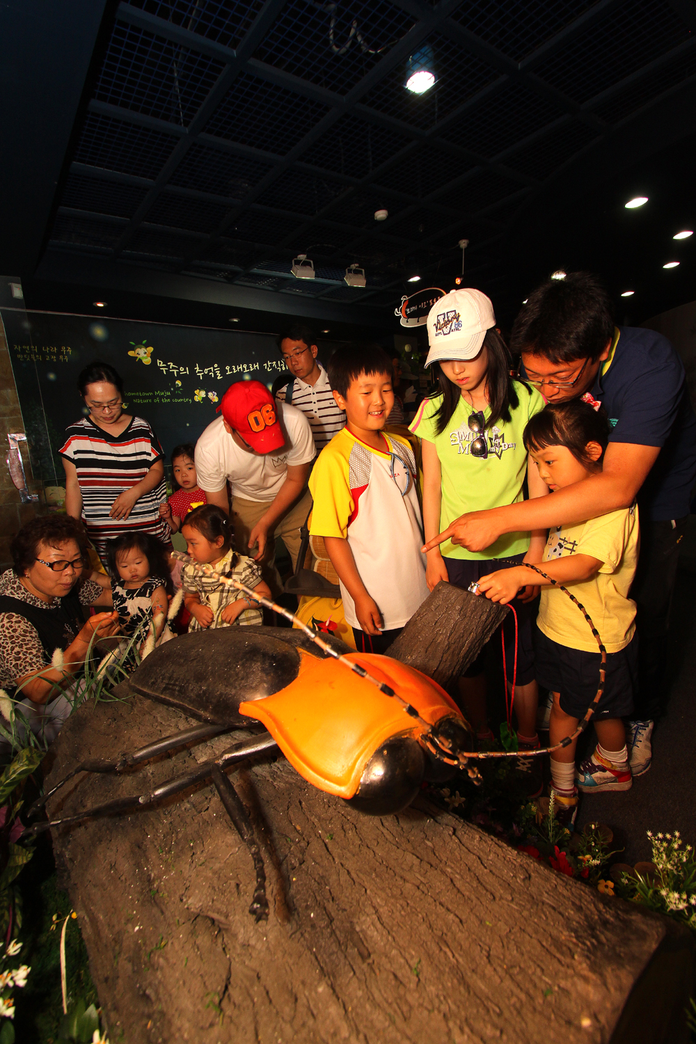 2012.06.09  제16회 무주반딧불축제-반디나라관