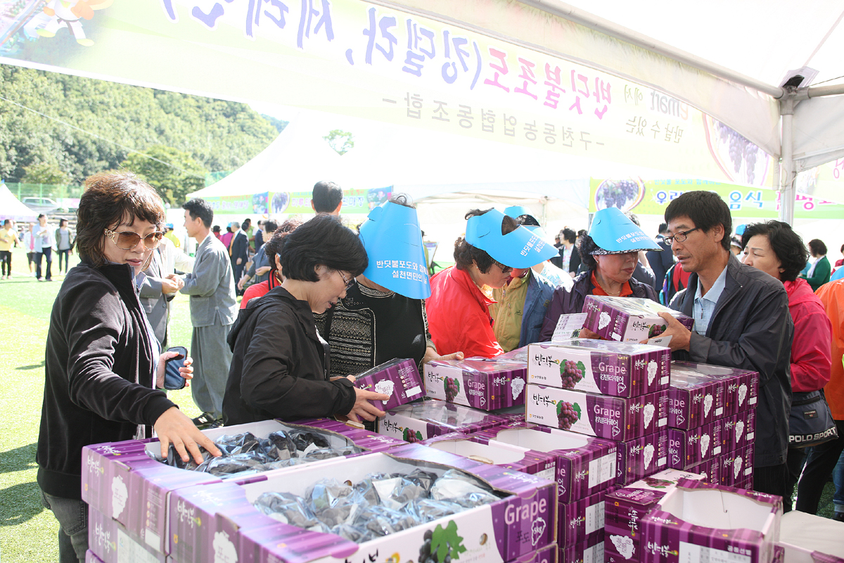 2012.10.03  반딧불포도와 함께 하는 제21회 설천면민의 날