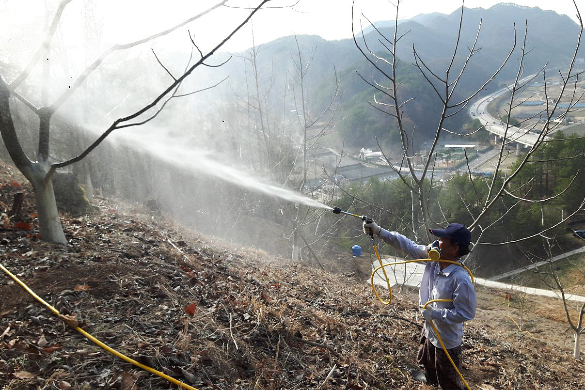 무주군 호두나무 방제