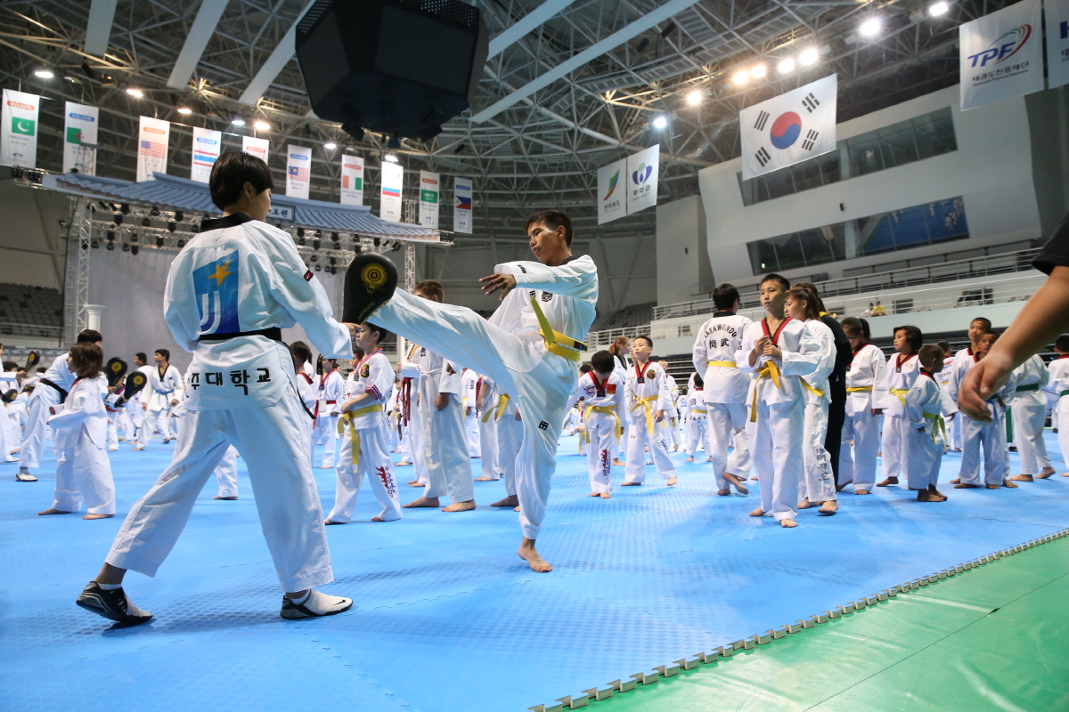 제8회 세계 태권도문화 엑스포 세미나 2