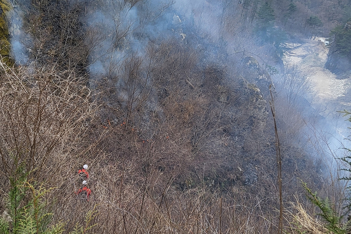 2025.03.27. 부남면 산불 진화 현장 (무주군 공무원 산불진화대)