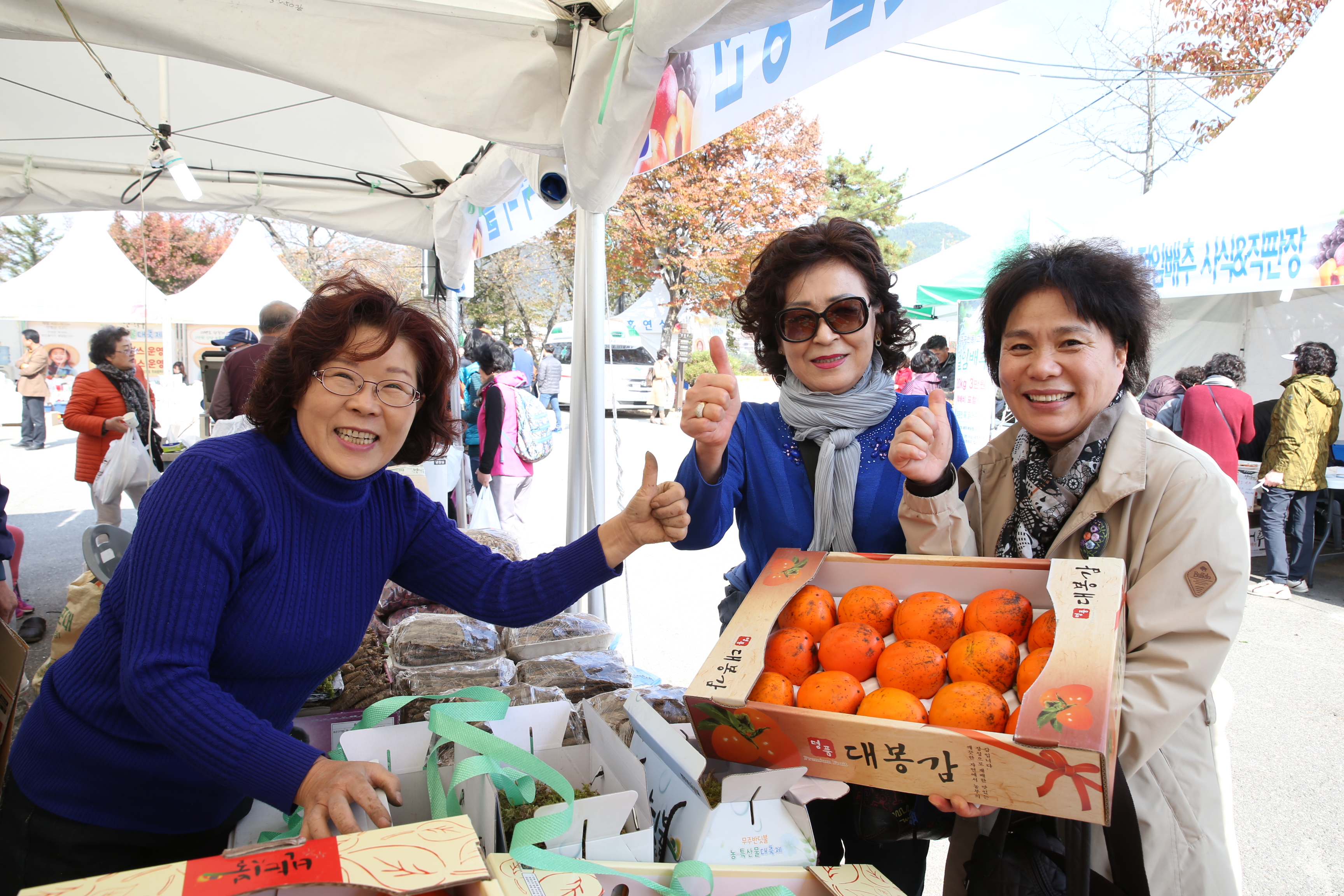 2016.11.05. 제2회 무주 반딧불 농특산물 대축제