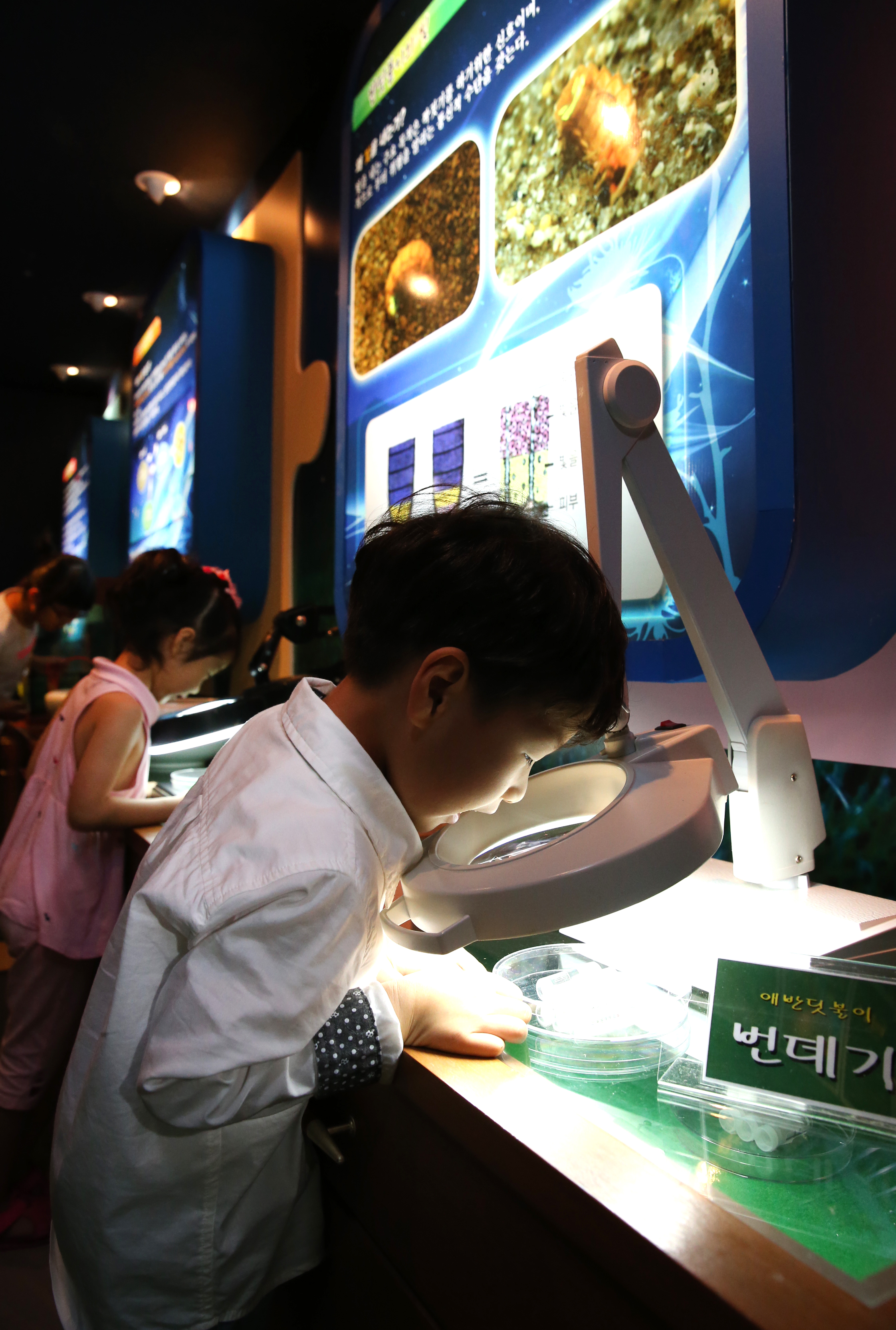 축제주제관-반딧불이관