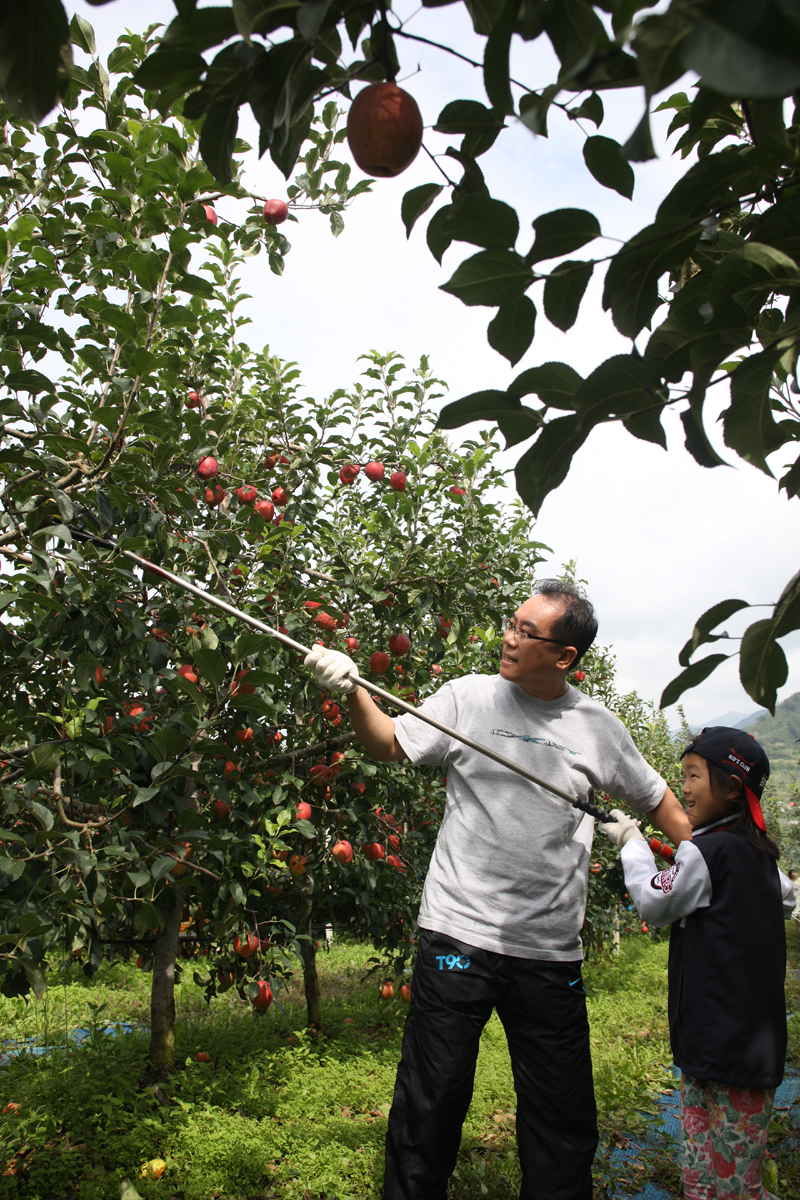 2012.09.15  무주군 사과따기 체험 행사