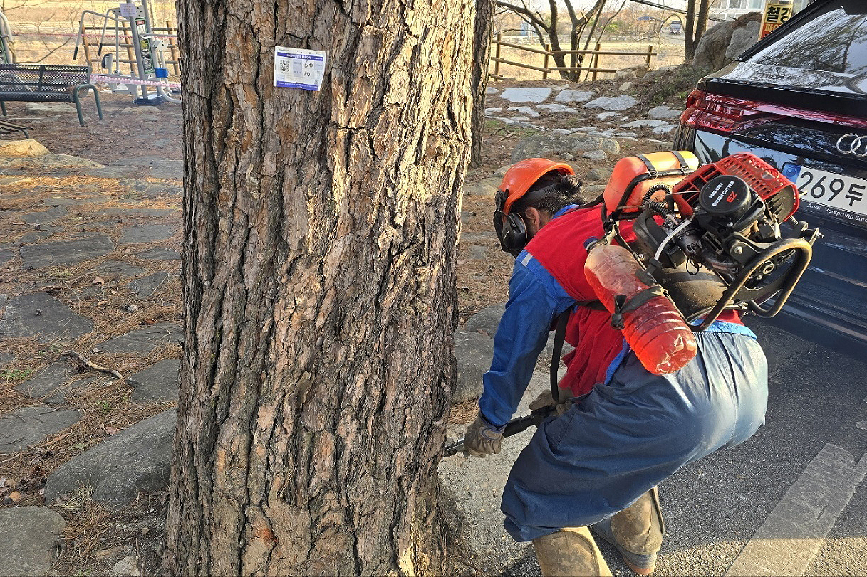 2025.03.26. 무주군 소나무재선충 방제 총력 예방나무 주사 주입