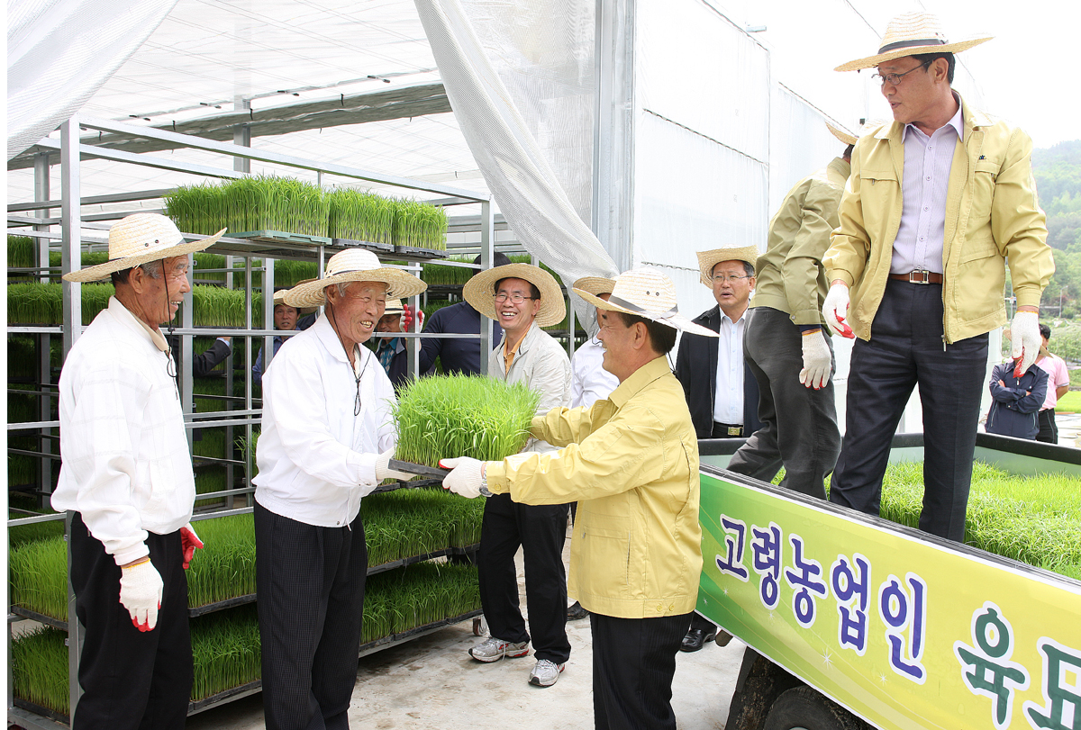 2012.05.15  고령농업인 육묘지원 첫 출하