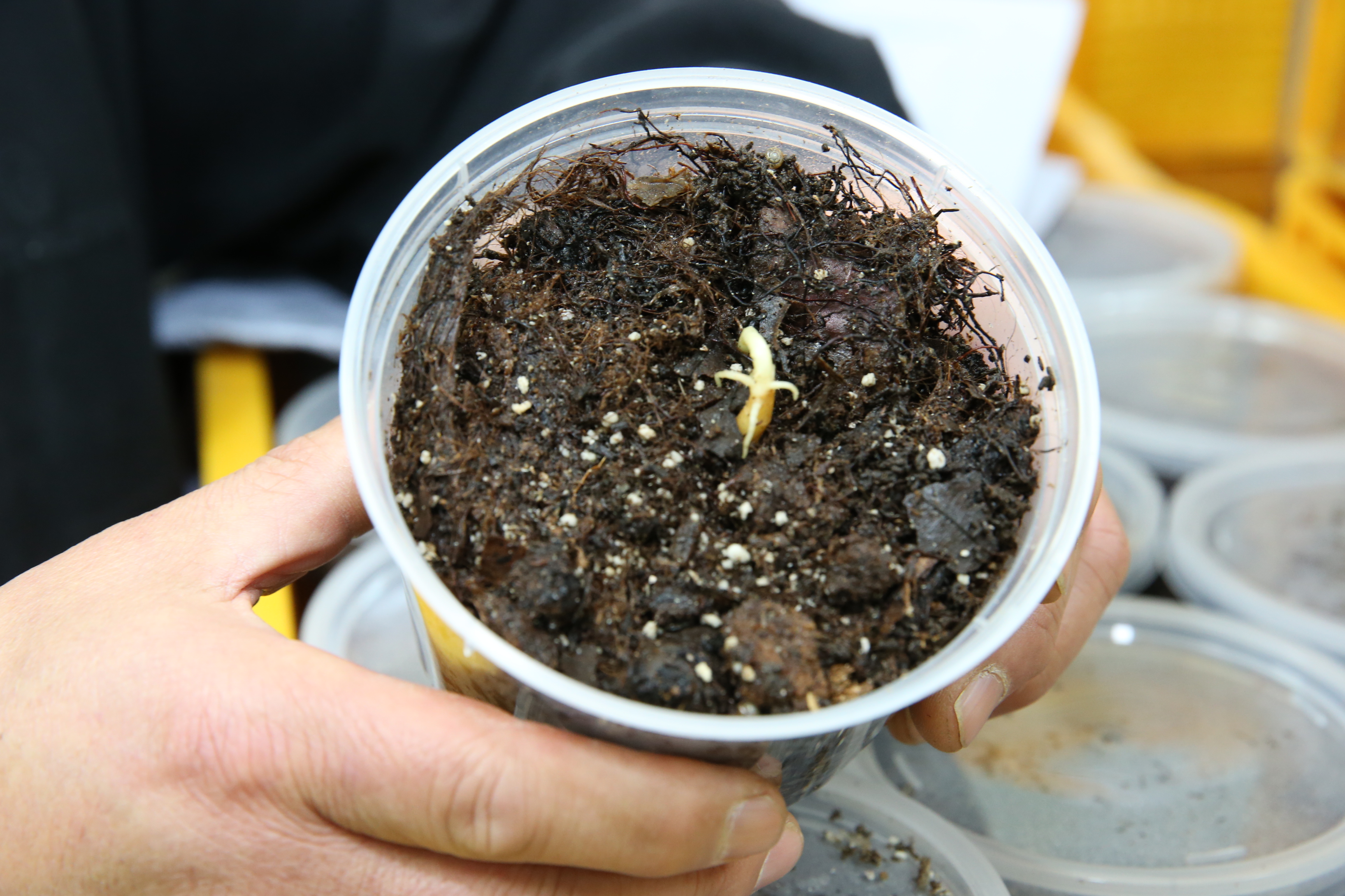 2015.12.03. 천마사업단 연구실