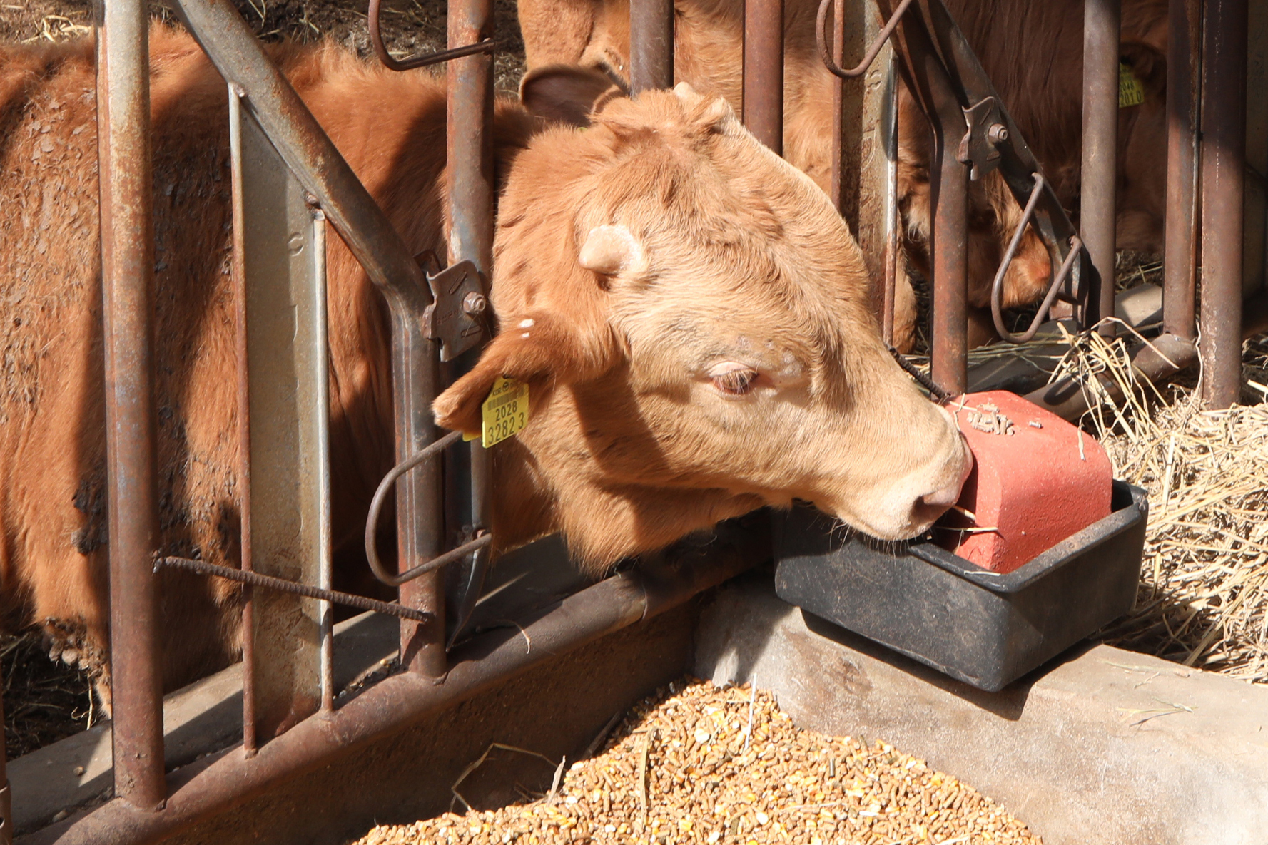 2025.03.07. 무주군 축종별 미네랄블록 지원